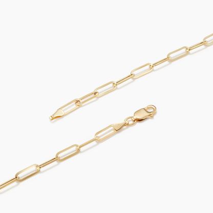 Gold chain necklace on a white background